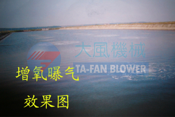 米兰体育风机在水产养殖上的应用